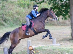 IMG_8268_web